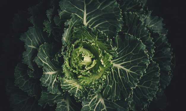 Falling in Love…With a Vegetable