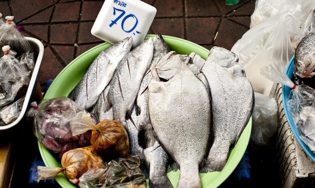 Don’t Get Ripped Off By Fish Scams
