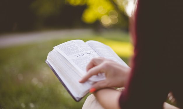 Questioning the Biblical Based Diet Trend