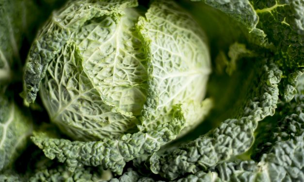 How the Cabbage Diet Brought Us Together